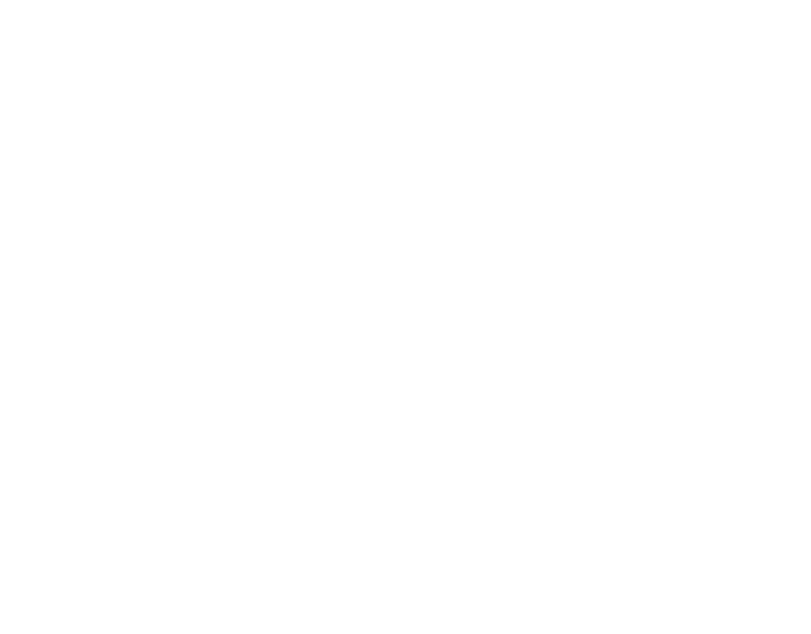 FisioCracks
